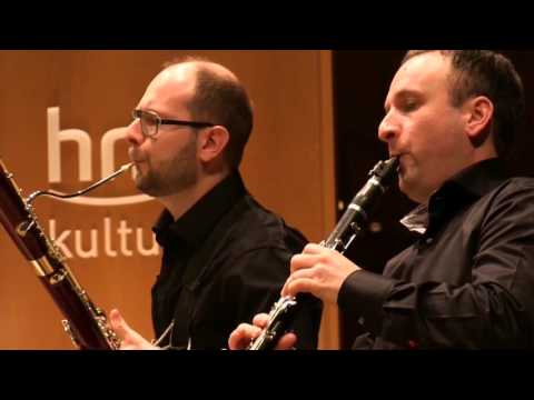Andrea Kim & Friends - Schubert Oktett F-Dur D 803