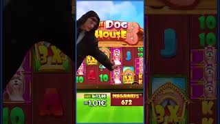 Big Win on The Dog House Megaways🐶