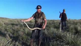 HOW TO KILL A RATTLESNAKE