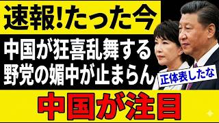 玉木代表「日本は中国に謝罪を」発言で中国国営メディアが大歓喜報道…利用される構図に騒然ｗｗｗ