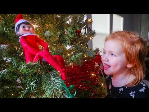 ELF ON THE SHELF COMES TO ADLEY'S HOUSE (What’s her name?)