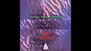 Mate - Pumaia, Sigowan y Bres403 [album completo] [2013]