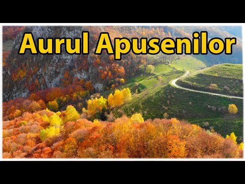 🍂🚵 Drumeția Perfectă pe TransApuseni | Aurul Apusenilor la Ceas de Toamnă 🍁🏞️