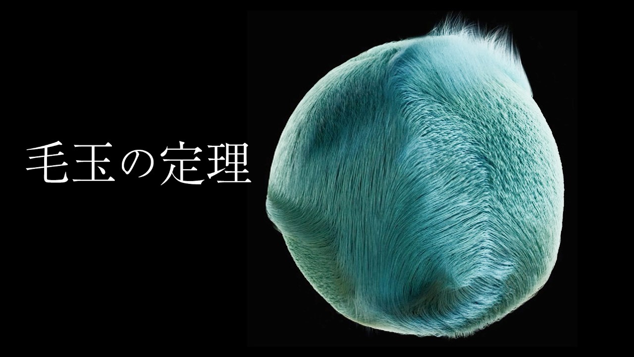 毛玉の定理【トポロジー】