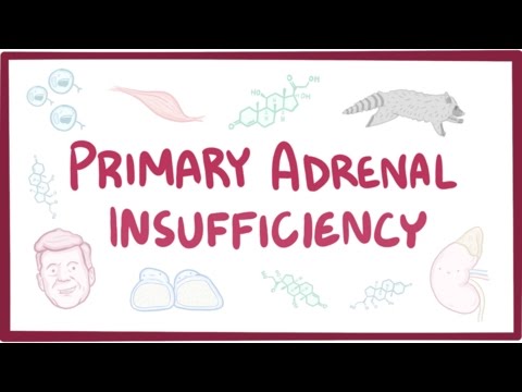 Primary adrenal insufficiency (Addison's disease) - pathology, symptoms, diagnosis, treatment