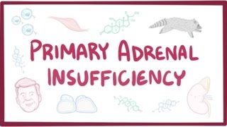 Primary adrenal insufficiency (Addison