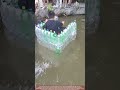  Learning Buoyancy with DIY Bottle Sofas (Shallow Pool) 
