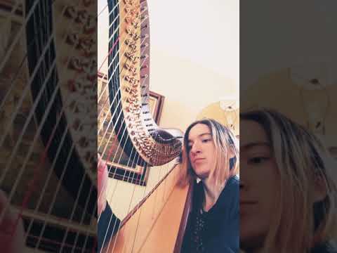 Promotional video thumbnail 4 for Kathlyn Kinney