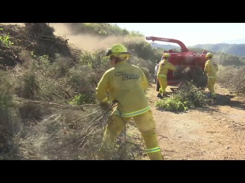 California officials are rolling out a plan to remove more dead trees and underbrush in forests statewide to beat back wildfire danger. However, some scientists say the focus should be on protecting homes and other structures. (March 20)