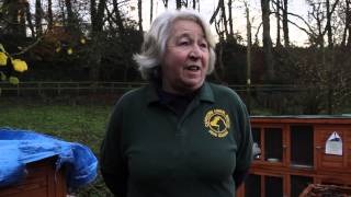 Capricorn Animal Rescue