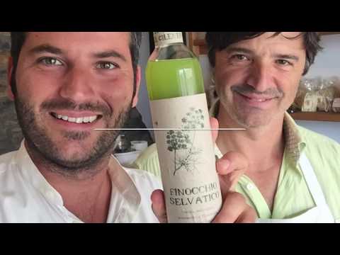 Decolorazione di crema per il viso di erbari di himalaya Violazione di pigmentazione di pelle 4 lettere