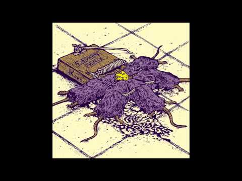 Elephant Phinix - The Providers