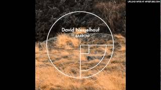 David Nesselhauf - Blackbird 1
