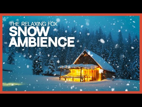 Winter Storm | Snow ASMR & Wind Sounds to Sleep Better