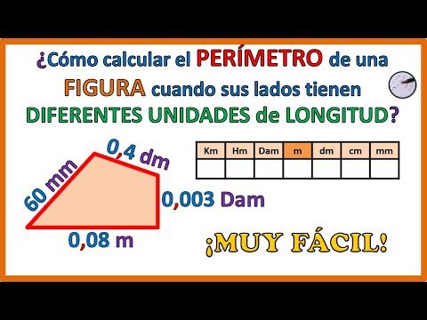 Perimeter of Shapes with Different Units of Length | Super Easy 😃