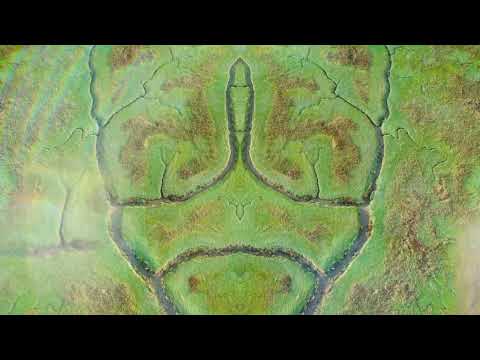 praam - infinite green [Official Music Video]