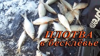 Отчеты о рыбалке омск