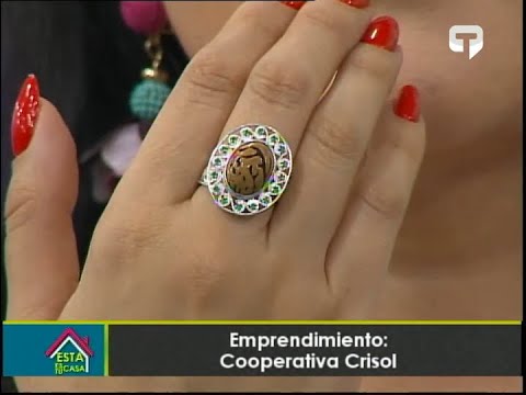 Emprendimiento Cooperativa Crisol