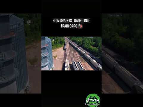 How Grain Is Loaded Into Train Cars🚂