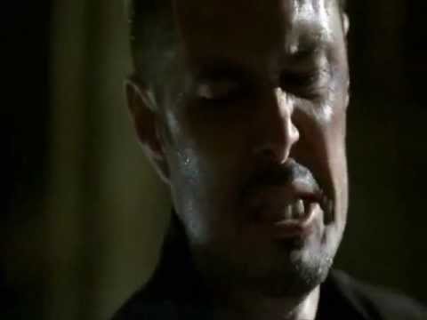 Almeida tribute - 24