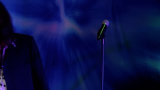 &quot;Teenage Wildlife&quot; featuring John Powhida