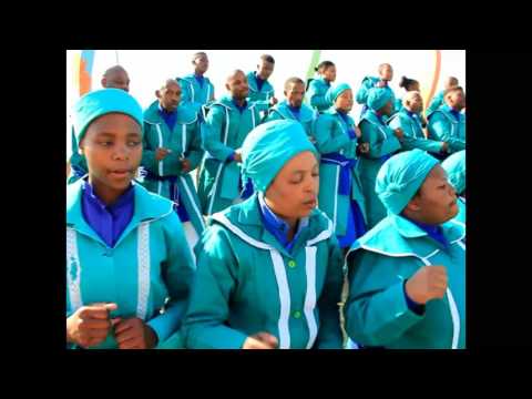 amadolo LIGHT OF CHRIST