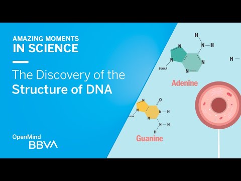 The Discovery of the Structure of DNA | AMS OpenMind