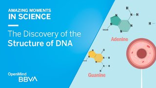 The Discovery of the Structure of DNA