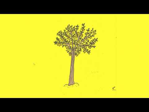 ARBOL DE LIMON - Antiesceptico