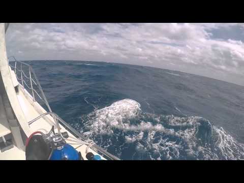 Dive Boating in Key Largo