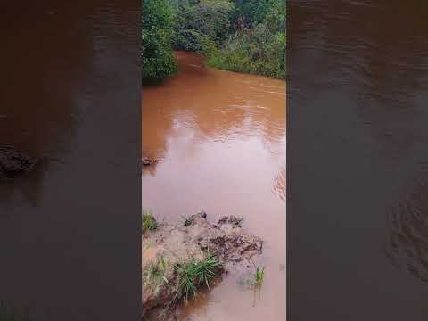 riacho do meio, cocos Bahia 😍