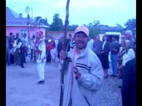 calusarii din carlogani