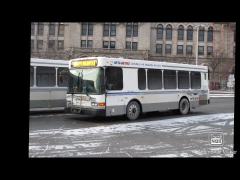 NFTA Gillig Low Floor #2402 On Route 2A Outbound