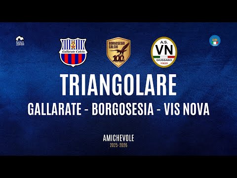 [HIGHLIGHTS] Pre-Season 25/26 - TRIANGULAR - Gallarate - Borgosesia - Vis Nova Giussano