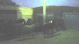 preview picture of video 'Bajada de caballos en el Tepetate, Loreto, Zacatecas'