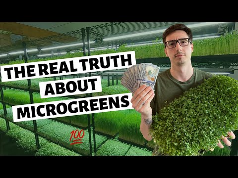 , title : 'The REAL TRUTH About Growing Microgreens For Profit'