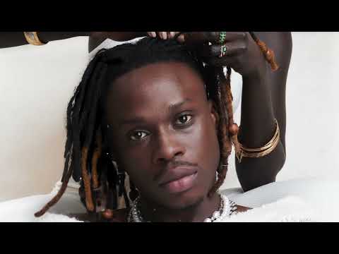 Fireboy DML - Afro Highlife (Official Visualizer)