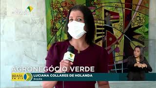 Miniatura do vídeo