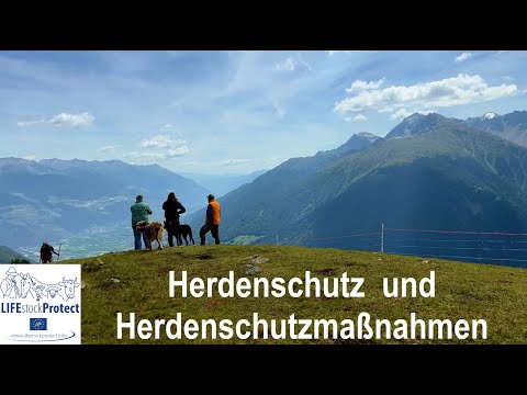 Herdenschutz – Antworten auf die Rückkehr von großen Beutegreifern