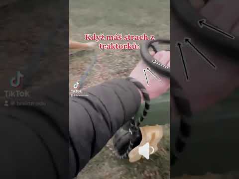 A z čeho má strach tvůj pes? 🤣 #shorts #video #pes #dog #traktor #tiktok