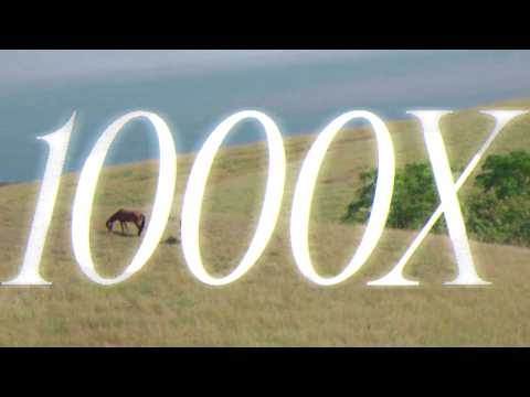 Ghea Indrawari - 1000X (Official Visualizer)