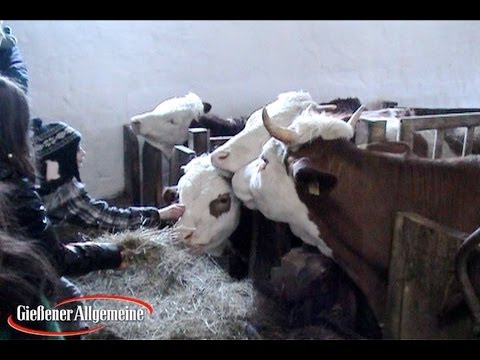 Hoffest auf dem Tannenhof