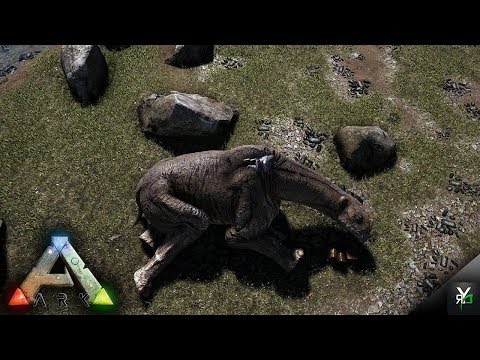 NOW IT FEELS LIKE HOME!!- Xbox Ragnarok EP 68