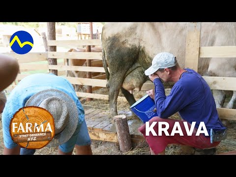 Krava má zapálené vemeno, ale Azra s Emou chcú jesť | FARMA 15