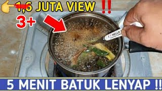 Download lagu Rebus Bahan Ini !! Paru2 Bersih,Batuk Dahak,Dan Tenggorokan Gatal Sembuh || Dodi Satria mp3