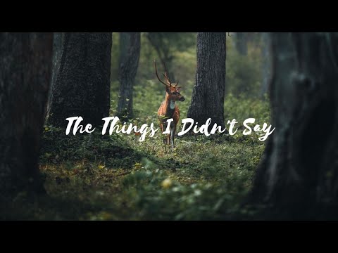The Things I Didnt Say - Adeline Hill (Lyrics)