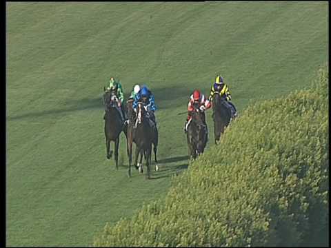 Galoppo 20/07/2016 - 1° corsa