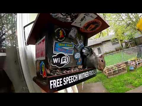 The Snow Plow Show Episode 783 - Requests and Callbacks