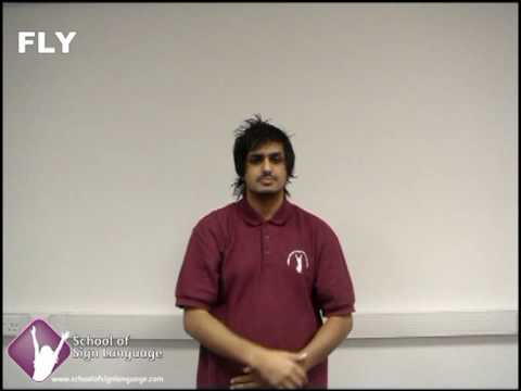 Learn Travel related phrases in British Sign Language (BSL)