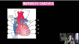 Regulação Bombeamento Cardíaco - SNA Parassimpático